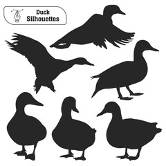 Collection of Animal duck silhouette in different poses