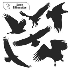 Fototapeta premium Collection of Animal bird Eagle silhouette in different poses