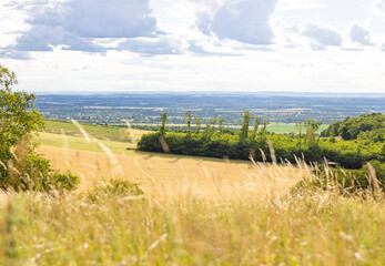 Obraz premium grass landscape summer lower austria