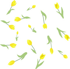 Vector pattern with yellow tulips on white background. Spring flowers. Vector illustration. Cute Print for card or invitation. Vector background, post. Tulips with leaves arranged in a random order. 