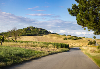 rural street with small hill and and tree cornfields