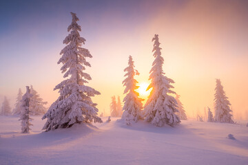 Pink sunrise in winter mountains