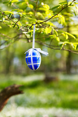 Painted easter egg hanging from a tree in the forest