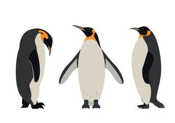 Fototapeta premium Penguin icons set. Collection of Big Emperor or King penguins isolated on white background. Flat or cartoon nature animal vector illustration.