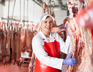 Positive young female butcher working in chilling room of meat processing factory, arranging raw...
