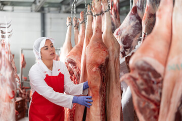 Female butcher inspecting pig carcass in meat storage