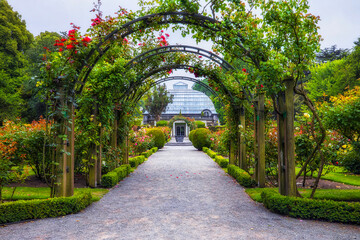 Fototapeta na wymiar NZ Christchurch rose garden arch