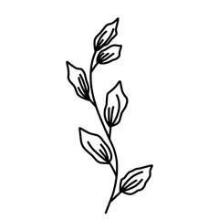 Plant Lineart