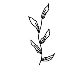 Plant Lineart