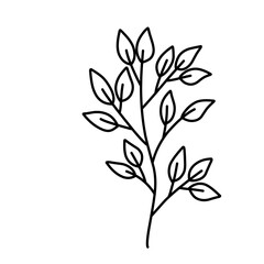 Plant Lineart