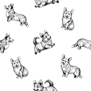 Corgi seamless pattern, hand drawn vector sketch, dog illustration