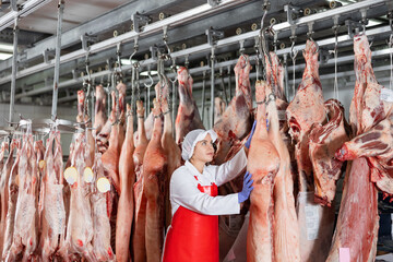 Female butcher inspecting pig carcass in meat storage