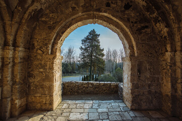 Pine tree from arched corridor at Khobi Convent, Georgia