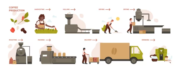 Fotobehang Stages of coffee production infographic set vector illustration. Cartoon scenes of factory process with harvesting, hulling and drying, roasting coffee beans and packing on conveyor for delivery © Flash concept