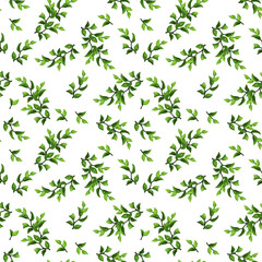 Seamless floral pattern with small green leaves on a white background. Vector floral print