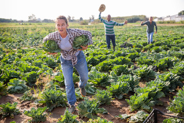 Farmers chase after fleeing woman who stole cabbage from a farm field