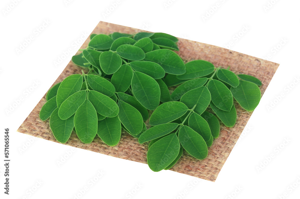 Sticker edible moringa leaves on sack surface