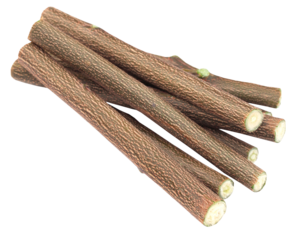 Medicinal neem twigs