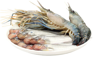 Fresh water Pabda fish with Lobster