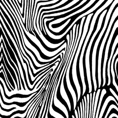 Fototapeta na wymiar Illustration zebra texture, tiger texture, animal print.
