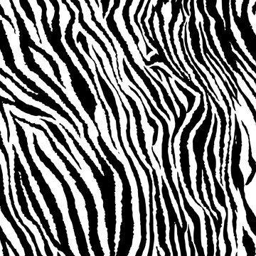 Illustration zebra texture, tiger texture, animal print.