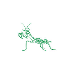 vector illustration of praying mantis
