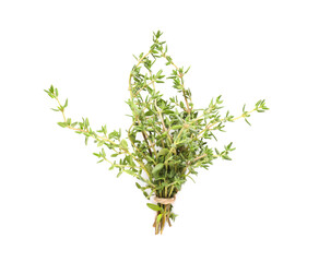 Bunch of fresh thyme isolated on white