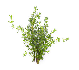 Bunch of fresh thyme isolated on white