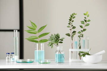 Many glass tubes with leaves on white table indoors