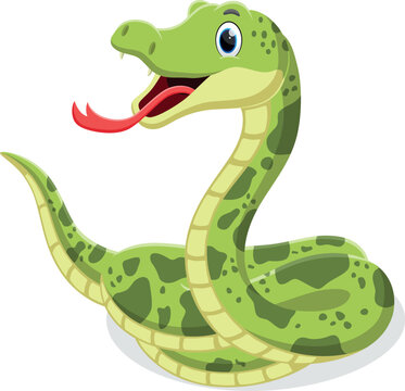Cartoon green snake isolated on white background