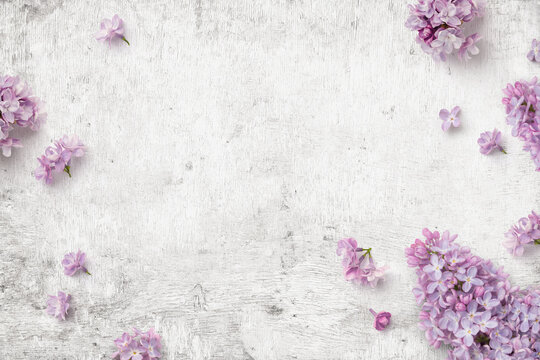 romantic floral composition with loosely arranged lilac flowers on a rustic white wooden background, spring, gardening or Mother's Day concept, top view / flat lay