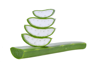 Aloe transparent png