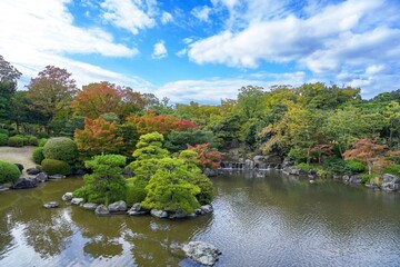 Fototapeta na wymiar 色づき始めたモミジの紅葉と滝のコラボ情景＠大阪