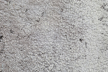 Close up rough pattern of White concrete wall texture background