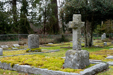 An image of a large stone cross weathered by time in a moss covered cemetery.  