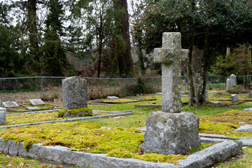 An image of a large stone cross weathered by time in a moss covered cemetery.  