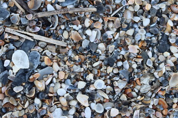 stones on the beach