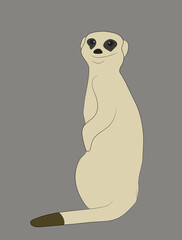 bright illustration of an animal in a minimalist style