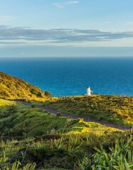 Fototapeta na wymiar Cape Reinga lighthouse in Northland, New Zealand