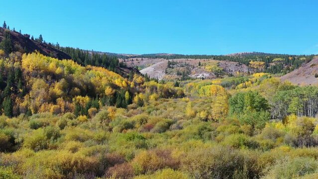 Flying over the beautiful fall colors in Anaconda, Montana.
