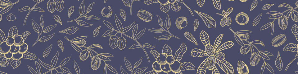 Seamless pattern with hand drawn cosmetic plants. Jojoba leaves and nuts. Macadamia branch. Argan and shea vector illustration.