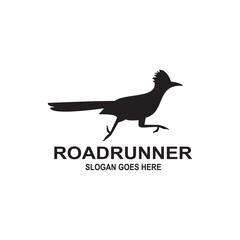 roadrunner bird logo icon vector