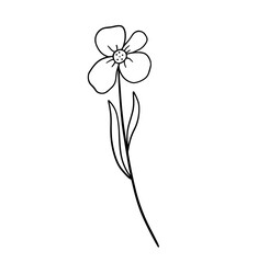 Hand drawn flower daisy. Vector outline sketch. Line art doodle isolated on white background