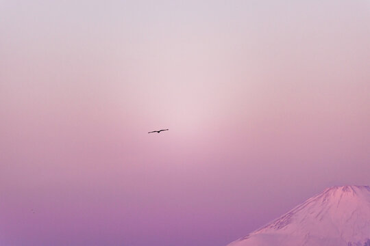 飛行 © Yuki