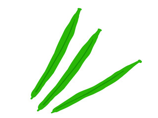 かわいい豆のサヤインゲン3本／手描きイラスト素材