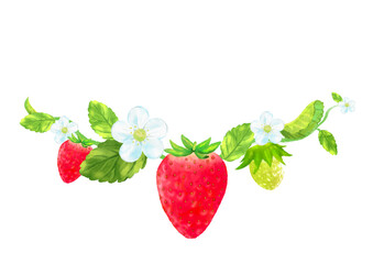 イチゴの水彩装飾素材イラスト