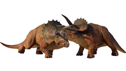 Triceratops Dinosaur on Transparent PNG Background © akiratrang