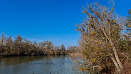 Sonniger Nachmittag am Chiemsee in Bayern