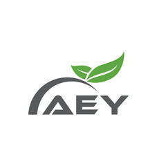 AEY letter nature logo design on white background. AEY creative initials letter leaf logo concept. AEY letter design.