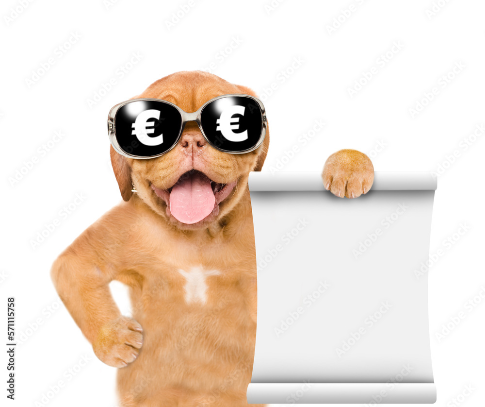 Poster funny dog wearing sunglasses with euro sign shows empty list. empty space for text